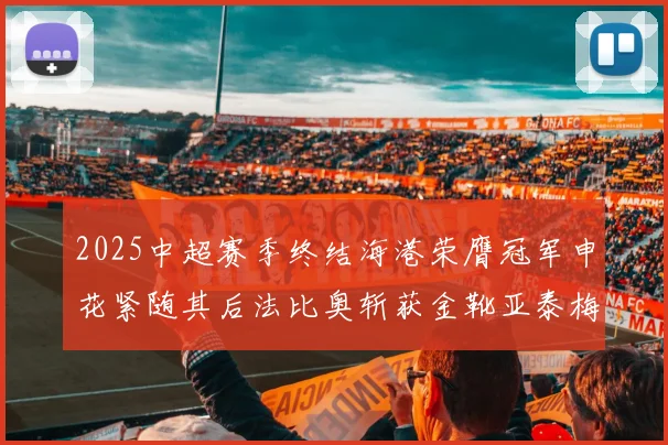 2025中超赛季终结海港荣膺冠军申花紧随其后法比奥斩获金靴亚泰梅州遗憾降级