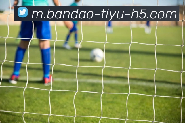 半岛体育平台生态图